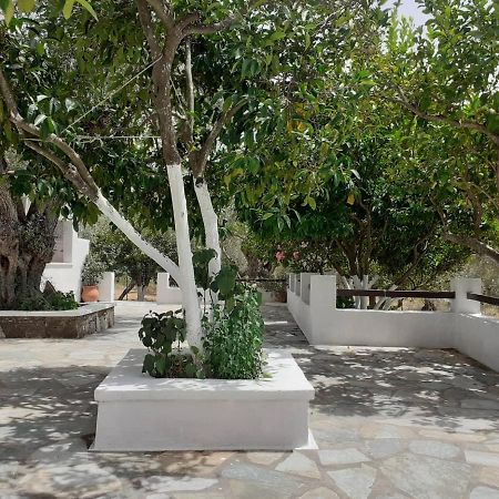 Villa Tillia Panormos (Skopelos) Exterior foto