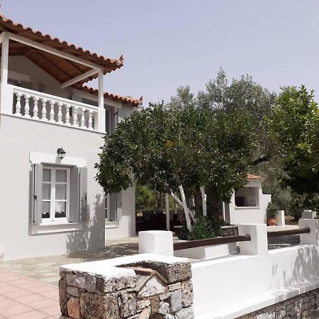 Villa Tillia Panormos (Skopelos) Exterior foto