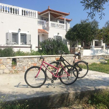 Villa Tillia Panormos (Skopelos) Exterior foto