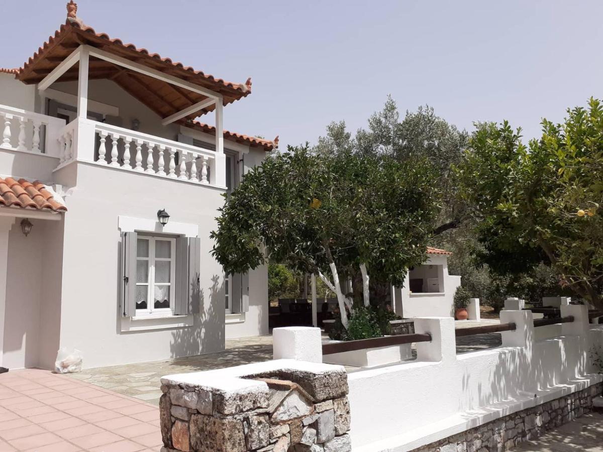 Villa Tillia Panormos (Skopelos) Exterior foto