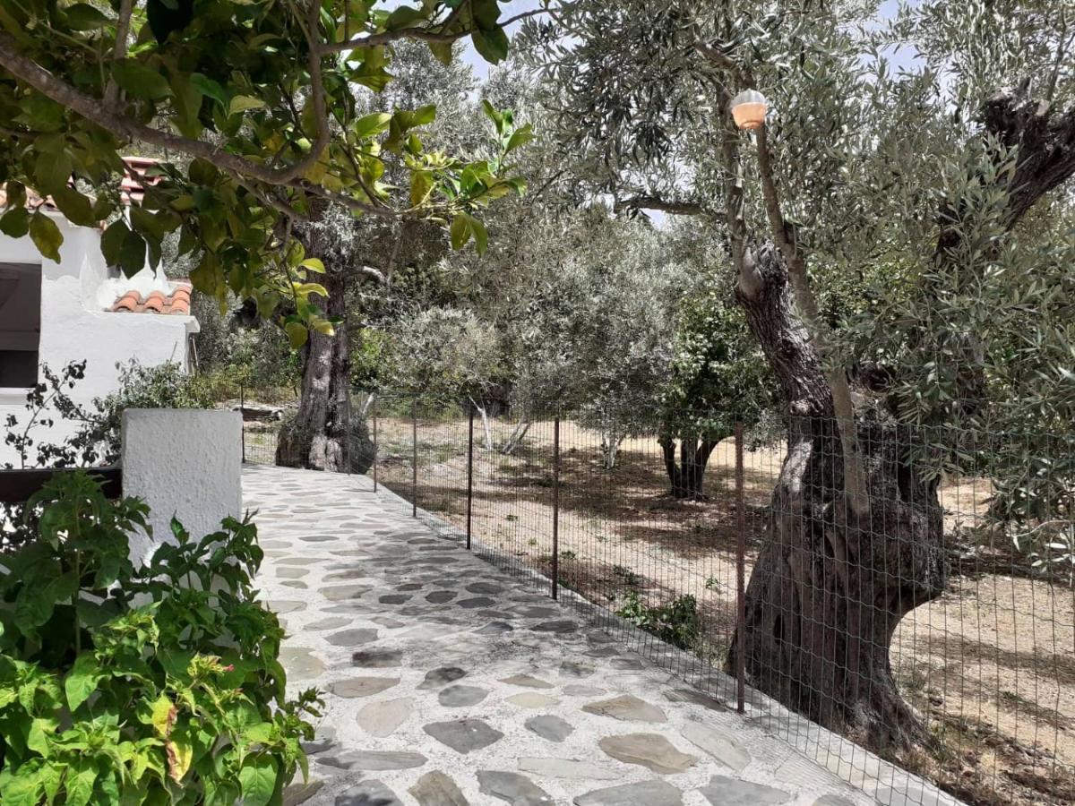 Villa Tillia Panormos (Skopelos) Exterior foto