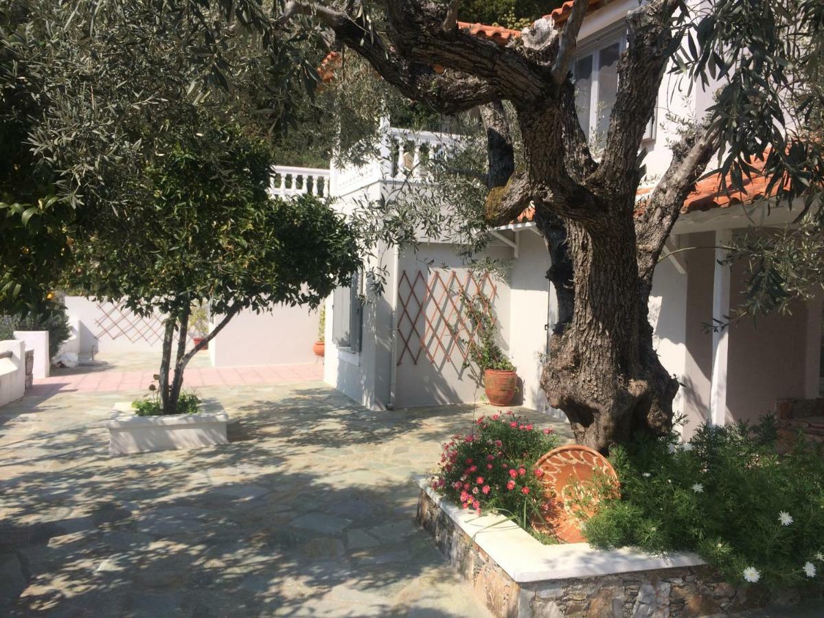 Villa Tillia Panormos (Skopelos) Exterior foto