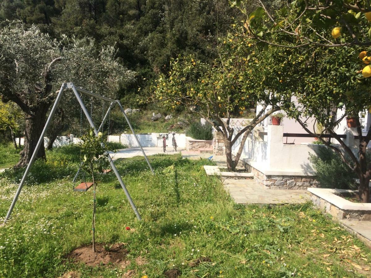 Villa Tillia Panormos (Skopelos) Exterior foto