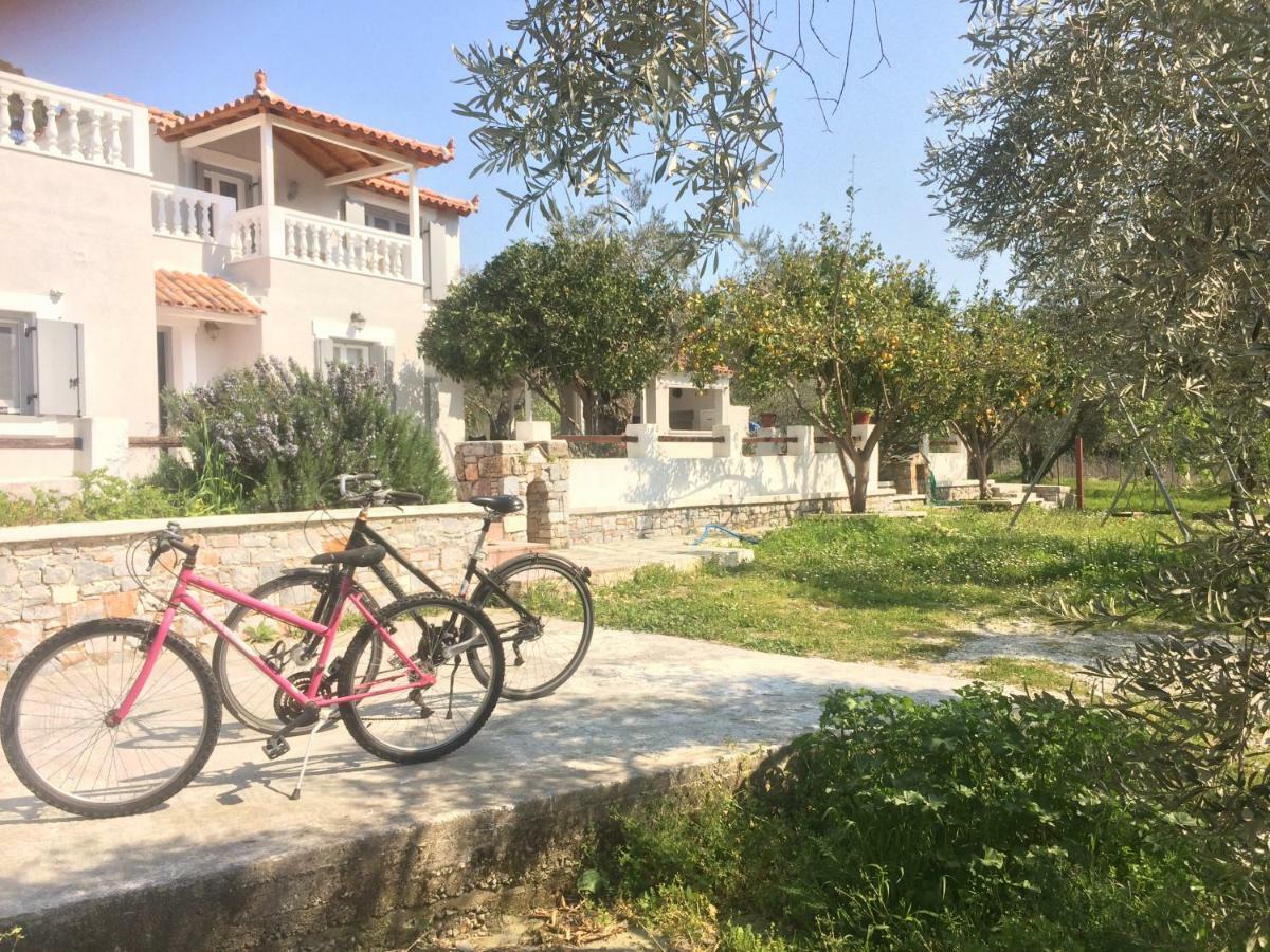 Villa Tillia Panormos (Skopelos) Exterior foto