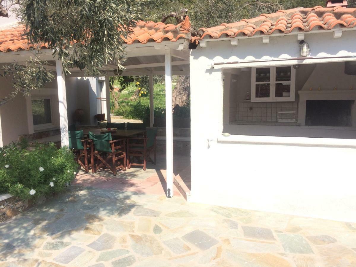 Villa Tillia Panormos (Skopelos) Exterior foto